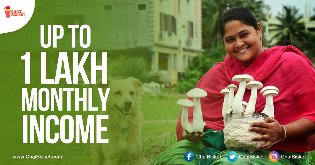 Meet The Rajahmundry Lady Who Is Growing Milky Mushrooms In A Unique Way