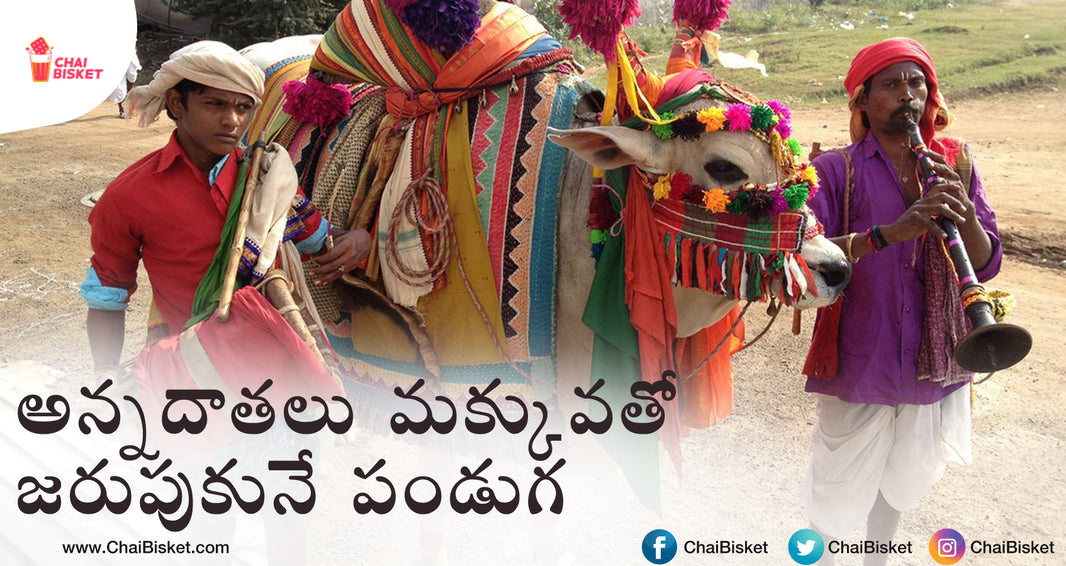 కనుమ ప౦డుగ గురి౦చి మీకు ఈ గొప్ప విషయాలు తెలుసా?