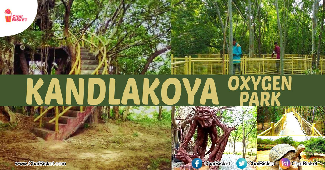 Hyderabadis Can Now Have A Breath Of Fresh Air, All Thanks To This Oxygen ParK