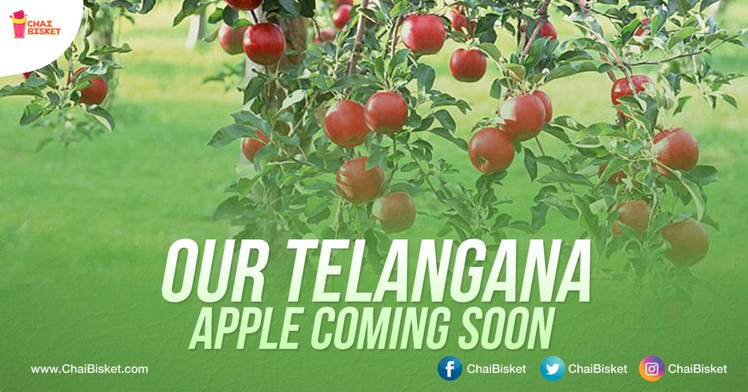 Telanagana Soon To Have Its Very Own, Homegrown Hybrid Apples And All Thanks This One Man!
