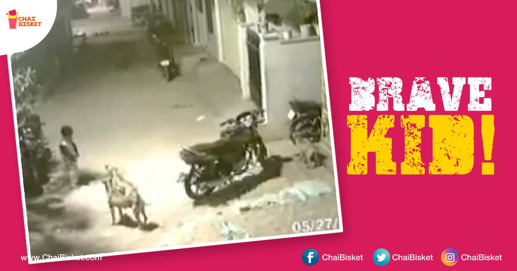 This CCTV Video Of A Kid Fending Off A Pack Of Street Dogs On His Own Is Totally Awesome!
