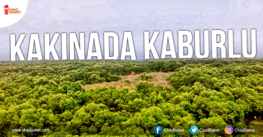 Presenting 11 Unique Things That Only People From Kakinada Will Know!