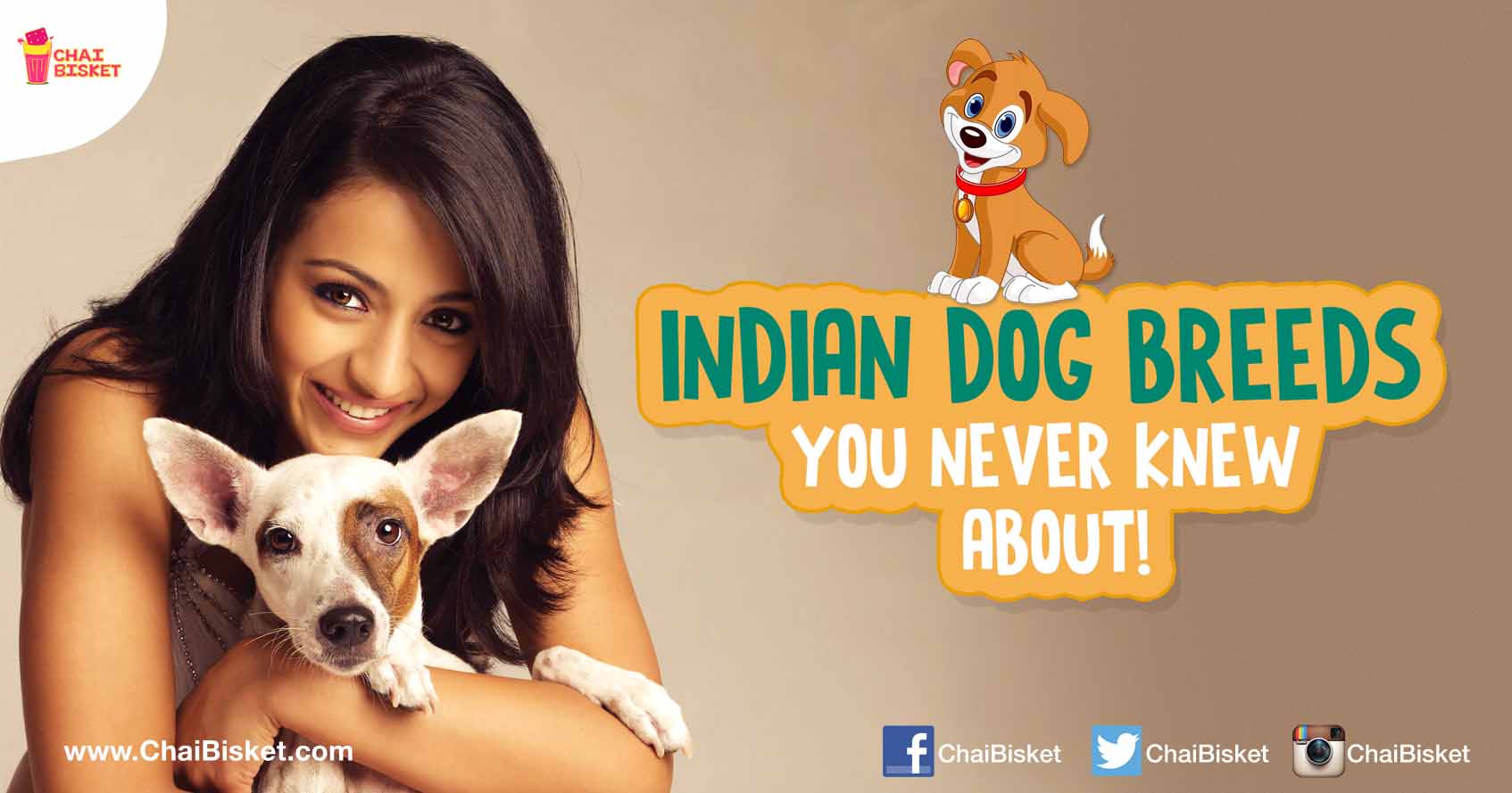 15 Indian Dog Breeds That You Probably Never Knew About!