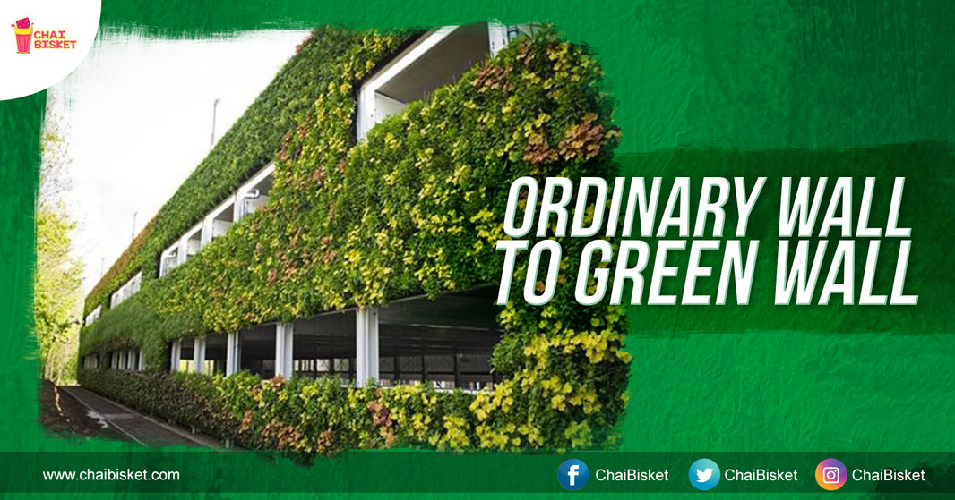Meet The Couple Behind The 'Green Walls' & Dream Gardens In Telugu States!