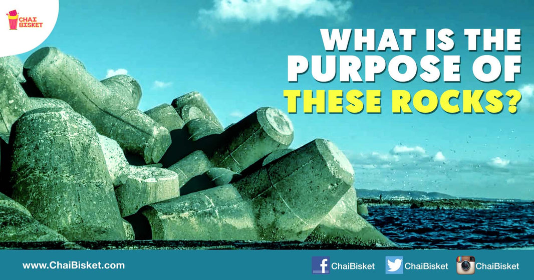 Here Is The Real Reason Why These Oddly Shaped Rocks Are Placed Along Shore-Line Roads!
