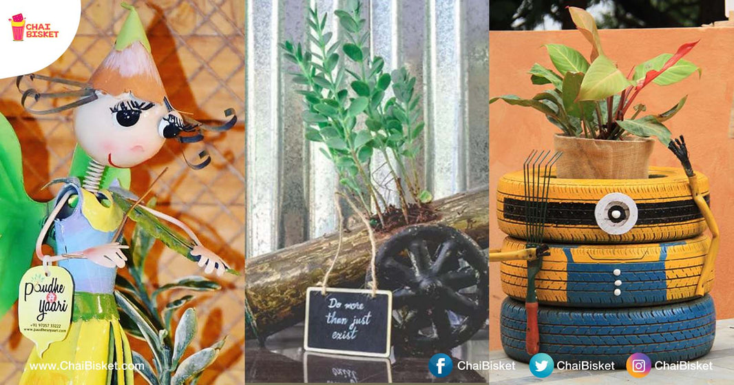 This Store In Hyderabad Is A Heaven For 'Plant Lovers' With Quirky & Cute Designs