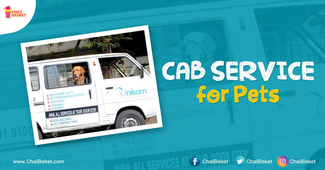 Hyderabad City Takes A Game-Changing Step With Its First Ever Cab Service For Pets!