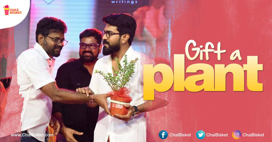 Planning To Buy A Plant? This Couple In Hyd Sells The Cutest Plants Across The City!