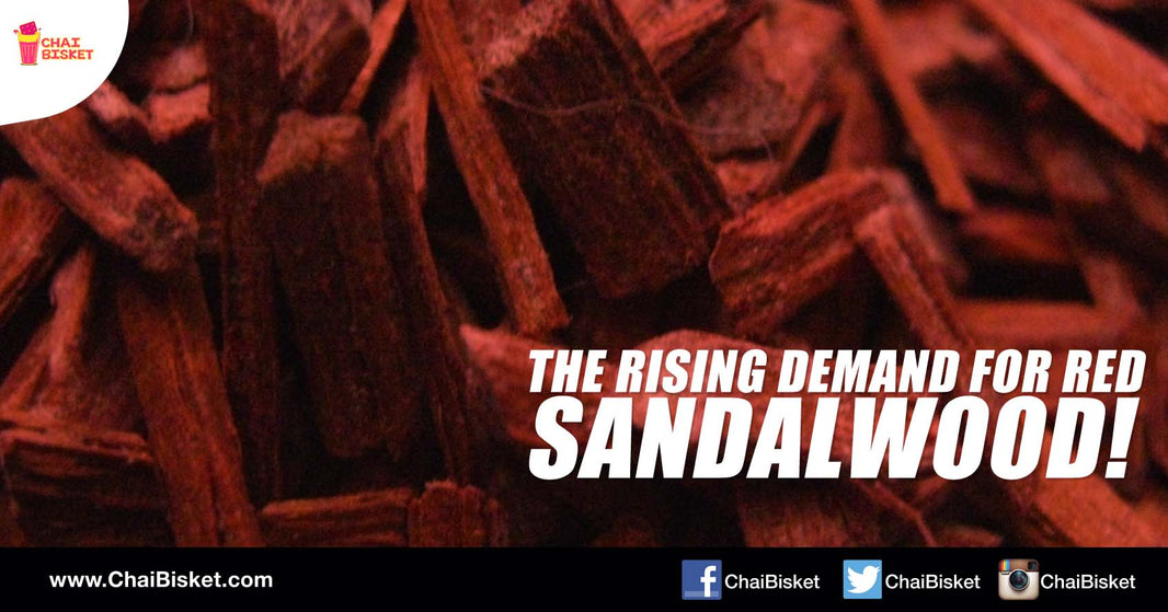 Here's Why Red Sandalwood Is The Most Smuggled Commodity In Andhra Pradesh!
