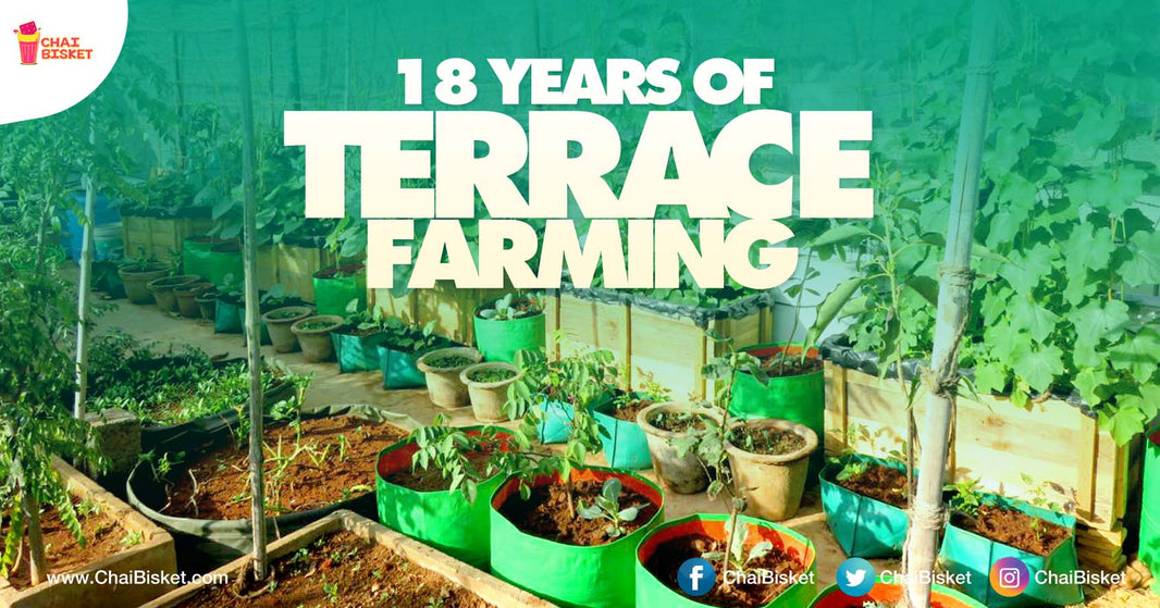 Meet Ramaraju, The Man Who Started Terrace Farming Way Before Everyone Else!