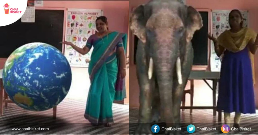 Next Level Online Classes In Kerala: Elephants Join Class With Augment Reality