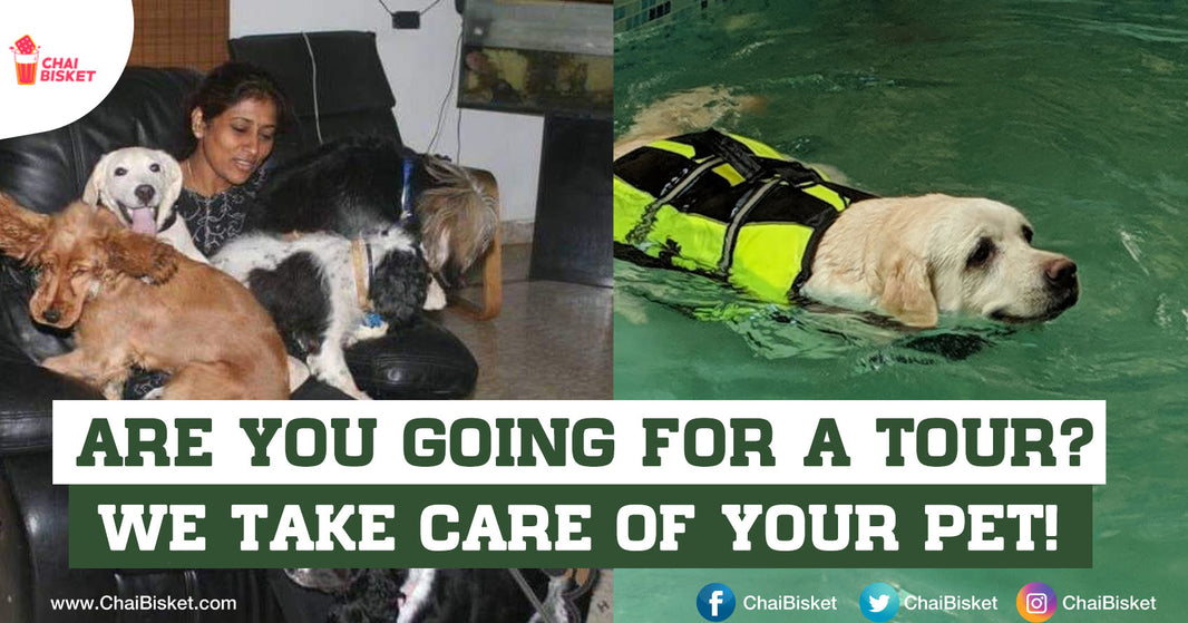 Are You A Pet Parent ? These People Can Take Care Of Your Pet While You're Away From Home