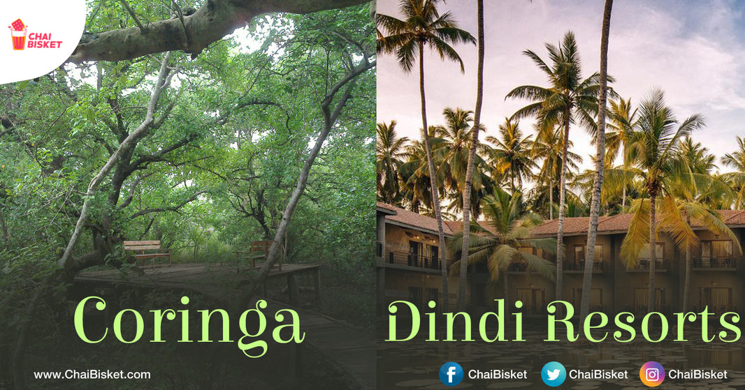 10 Beautiful Places To Visit When You’re In East Godavari District