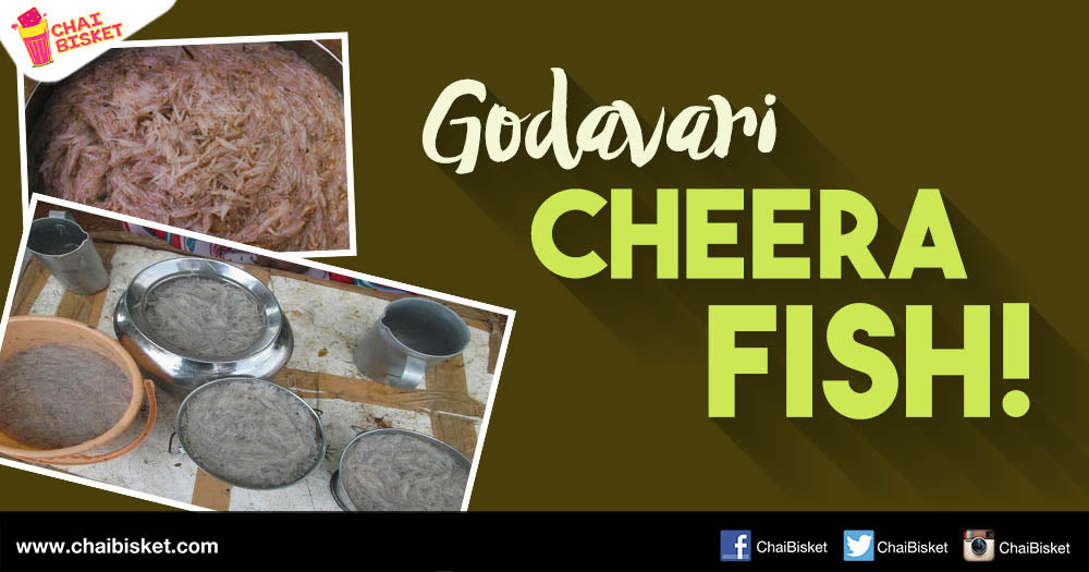Everything You Need To Know About The Tasty "Cheera Meenu" Found Exclusively In The Godavari Region!