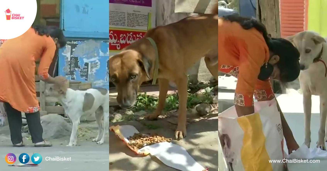 This Hyderabadi IT Woman Saves Up Money To Feed Stray Dogs & Helps Them
