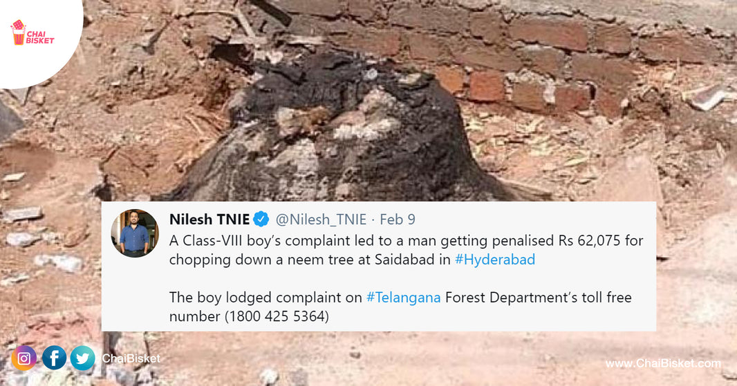 8th Class Boy Rocks, Man Shocks With 62K Fine: How Govt Fined This Man For Chopping A Tree