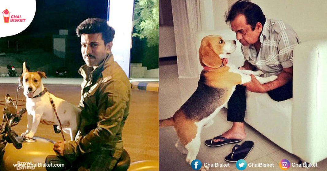 16 Pics That Show How Much Our Tollywood Stars Love Their Pets