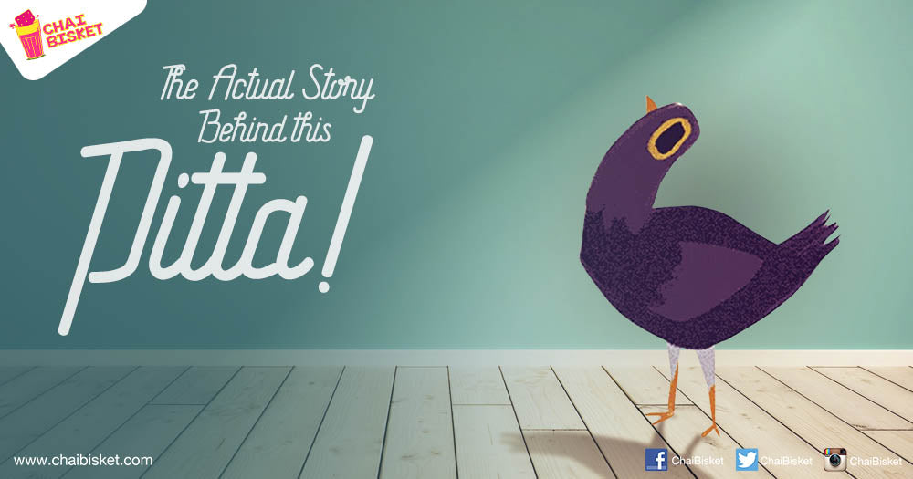 Did You Know The Actual Reason Why The "Trash Dove" Became Such A Viral Meme?!
