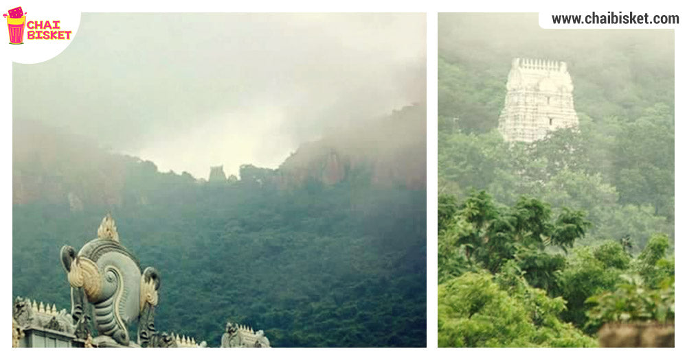 18 Instagram Images That Show Why Tirupati Is Truly A Nature Lovers Paradise!