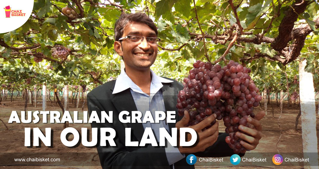 Meet Telangana's Young Scientist Who Is Cultivating Australian Grape In Our Lands!