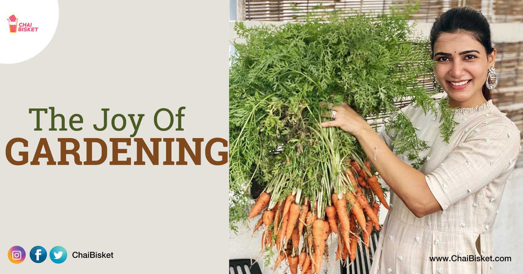 How To Start Pot Gardening At Home: Simple & Effective Ways For Home Gardening